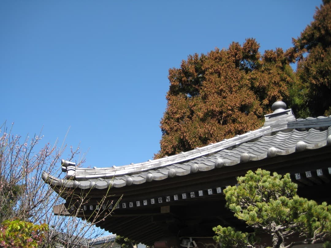 実写美⭕️【動作確認済】Canon キャノン IXY DIGITAL 10