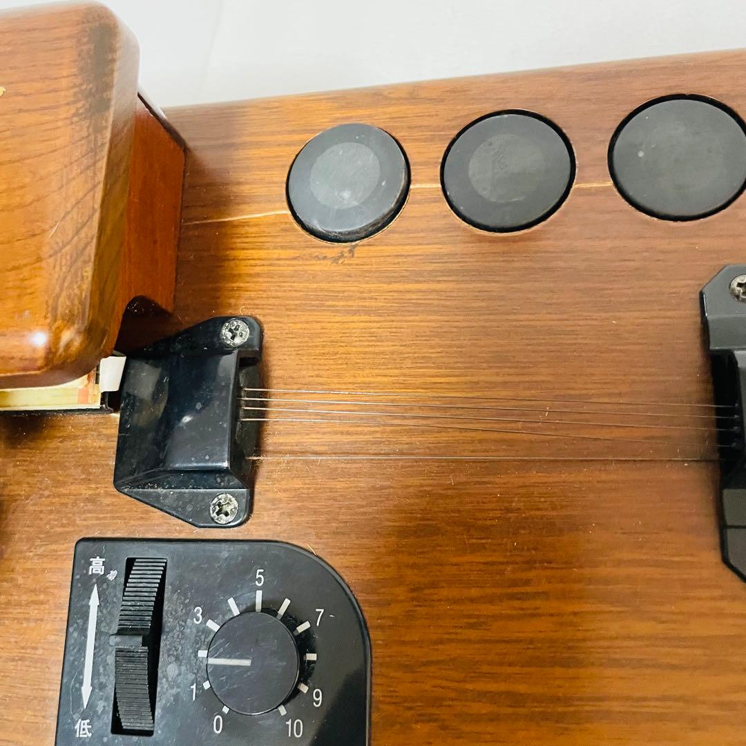 SUZUKI スズキ 和楽 電子大正琴 TES-100