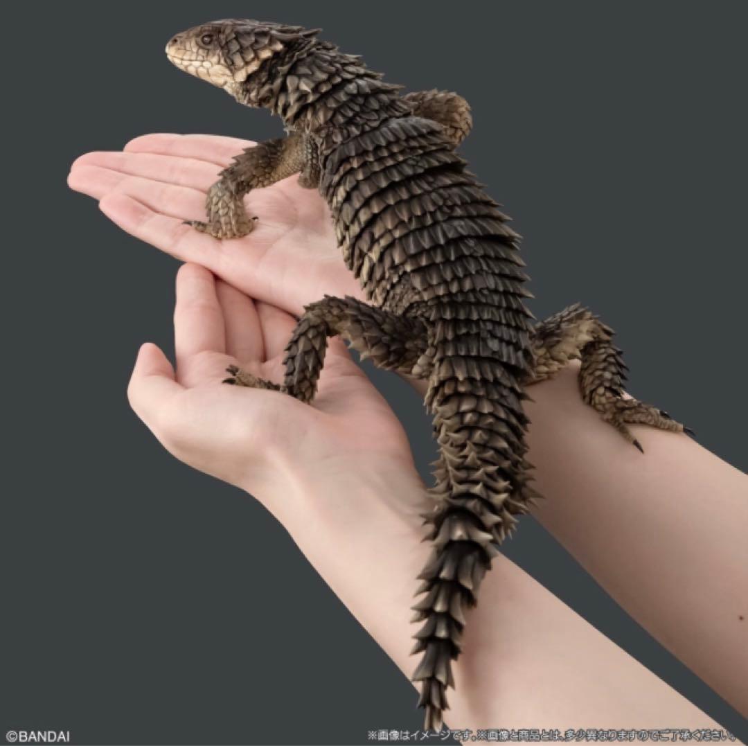 よ*吉様 いきもの大図鑑　アルティメット　オオヨロイトカゲ　フィギュア