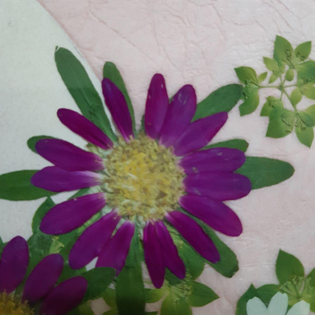 新品　押し花専用額　押し花アート　縦66cm　横51cm