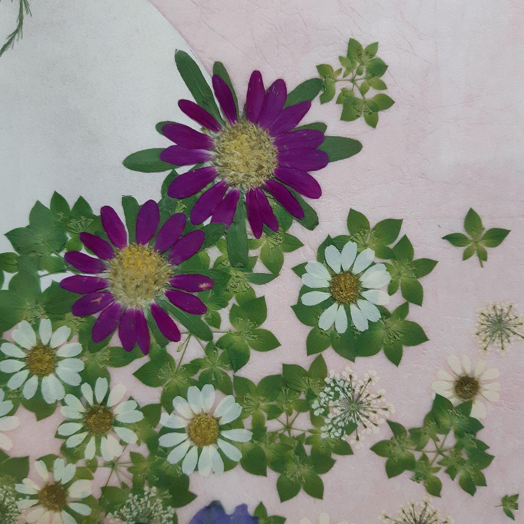 新品　押し花専用額　押し花アート　縦66cm　横51cm