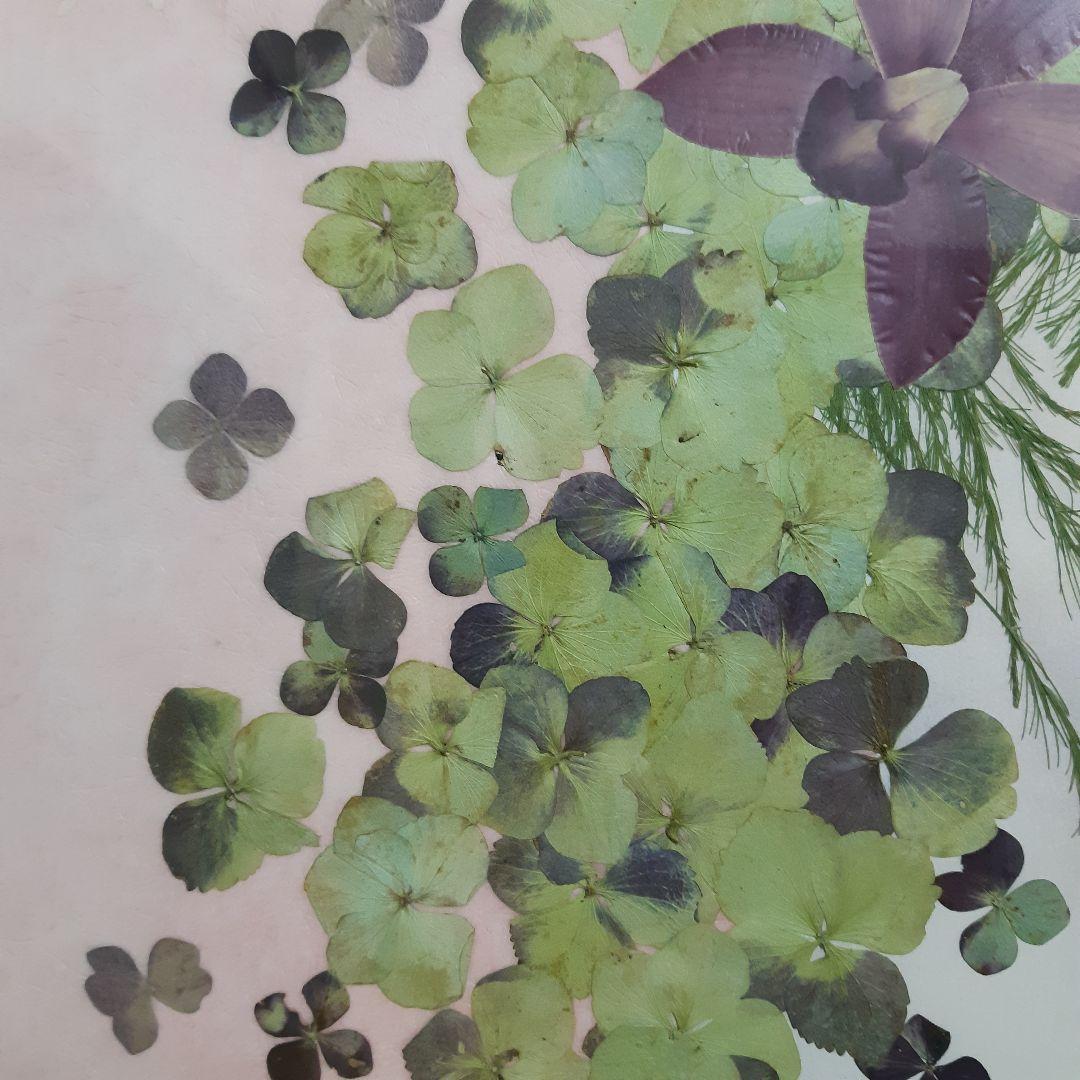 新品　押し花専用額　押し花アート　縦66cm　横51cm