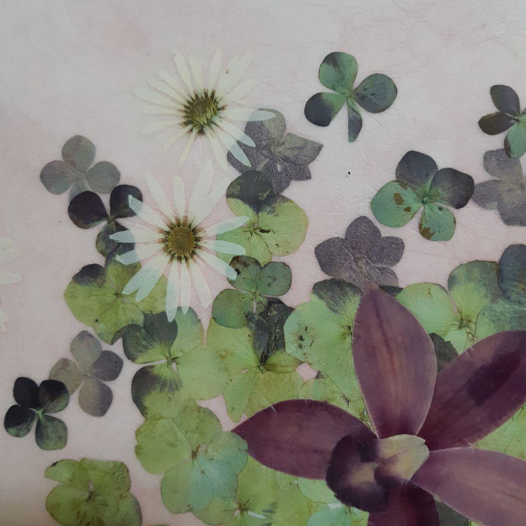 新品　押し花専用額　押し花アート　縦66cm　横51cm