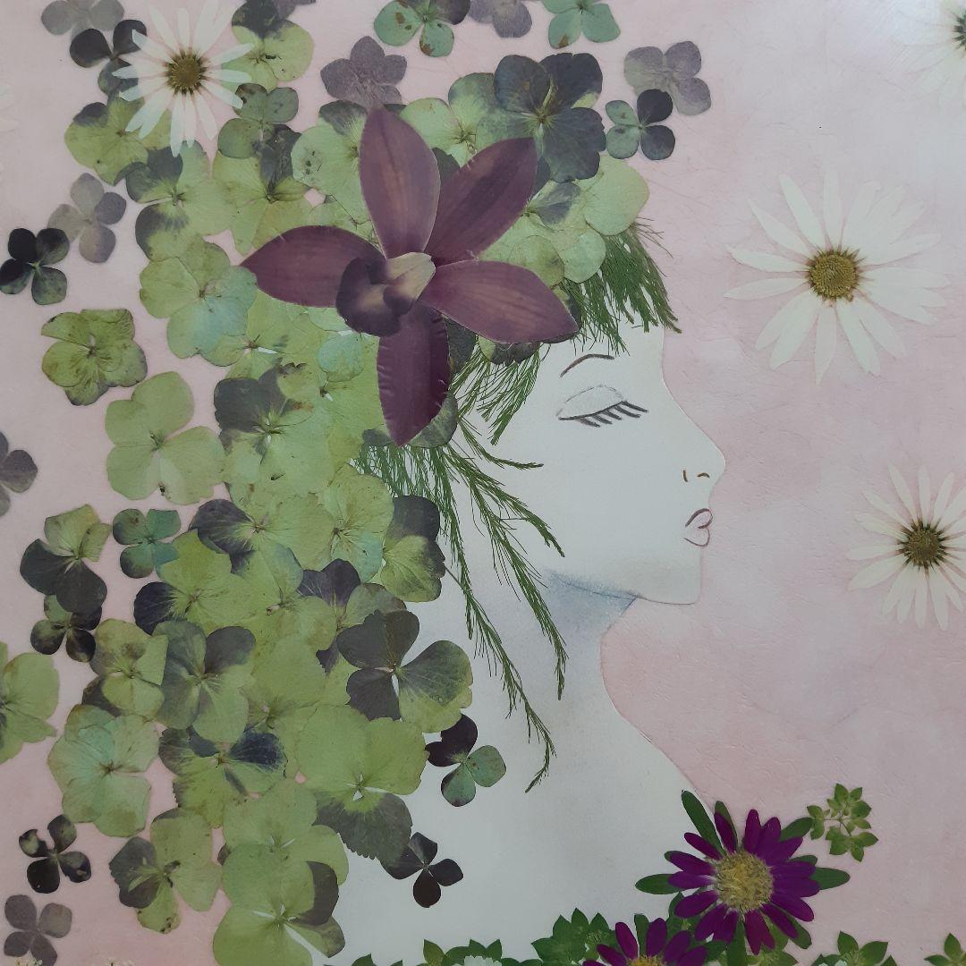 新品　押し花専用額　押し花アート　縦66cm　横51cm