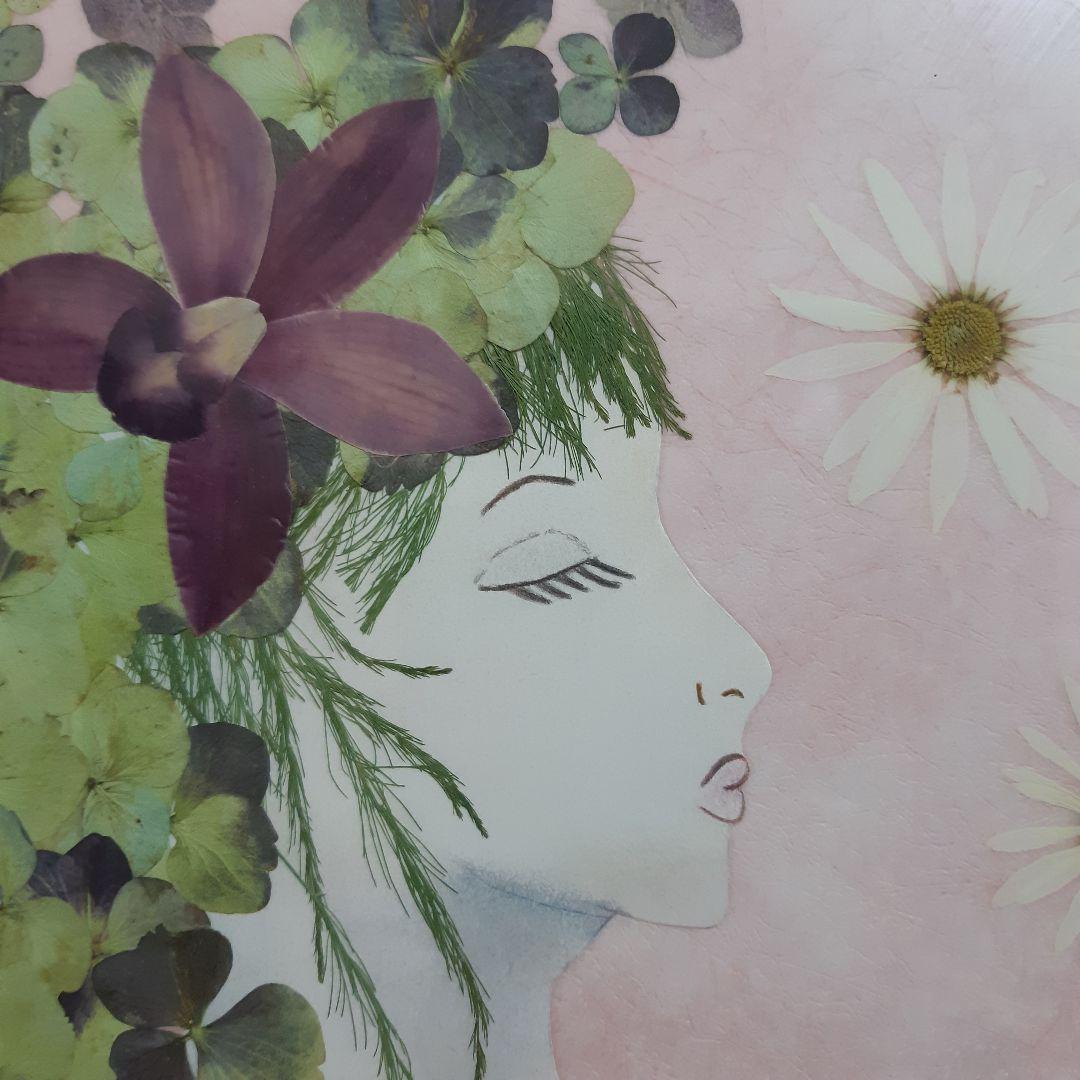 新品　押し花専用額　押し花アート　縦66cm　横51cm