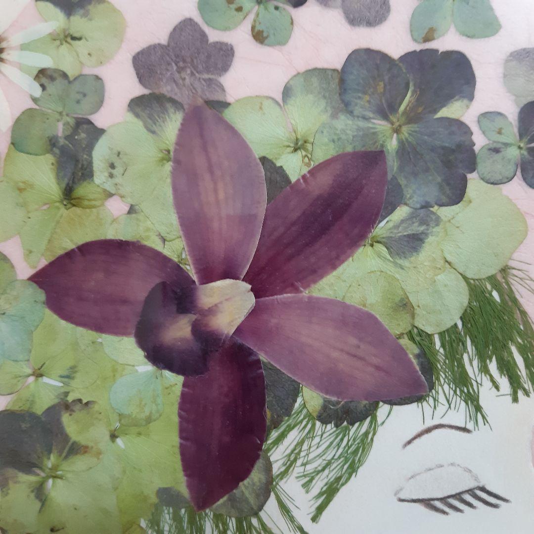 新品　押し花専用額　押し花アート　縦66cm　横51cm