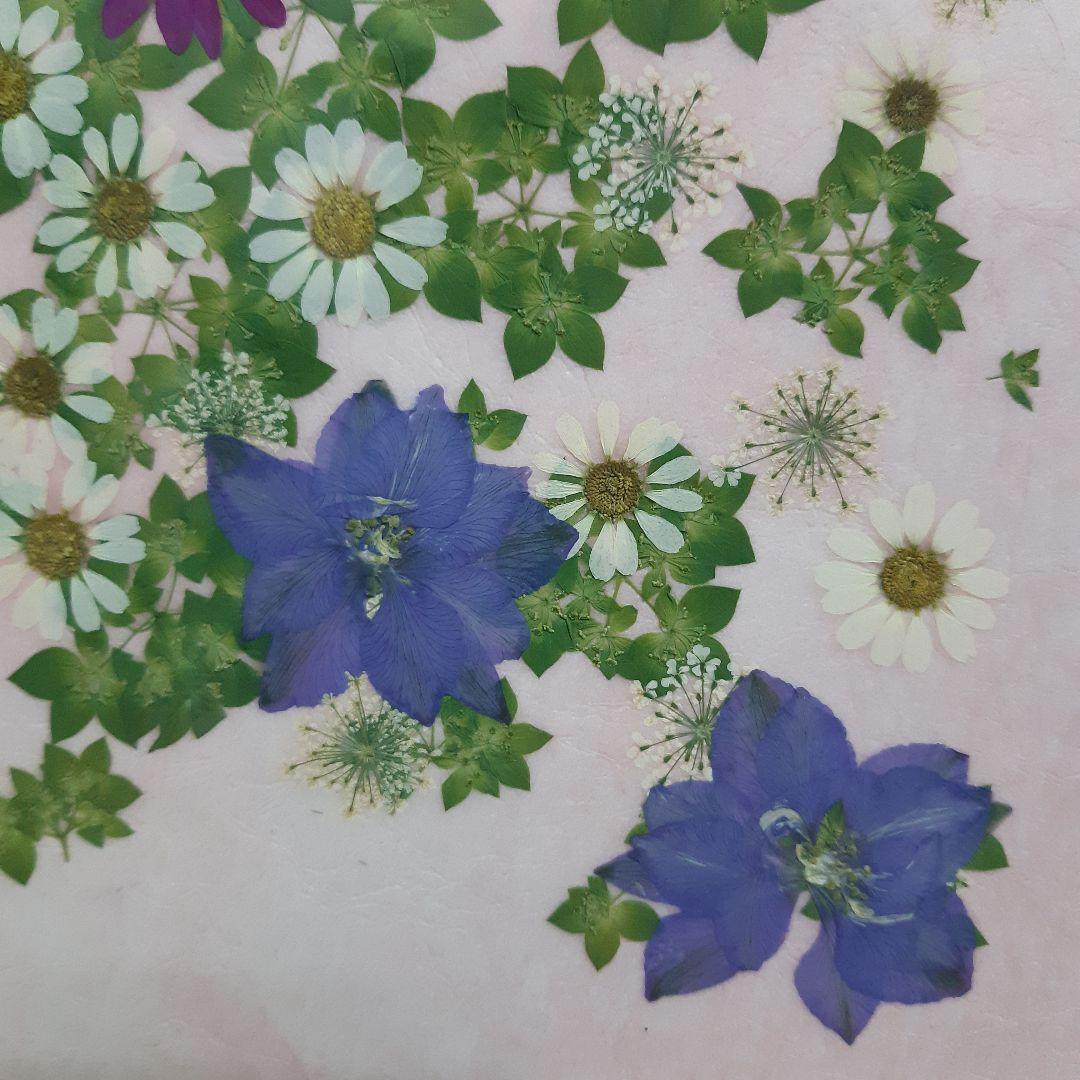 新品　押し花専用額　押し花アート　縦66cm　横51cm