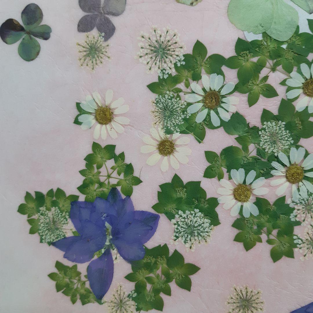 新品　押し花専用額　押し花アート　縦66cm　横51cm