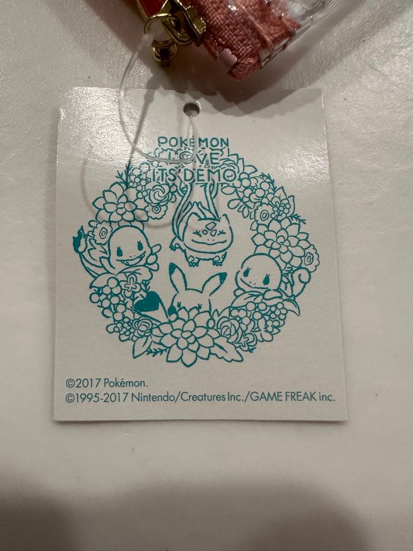 イッツデモ　ポケモン　ボタニカルデザインビニールポーチ2点セット