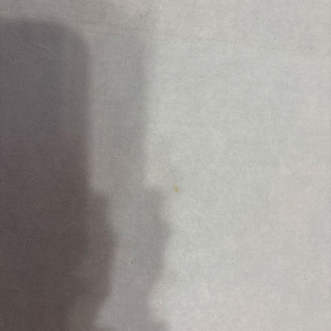 紅富士　掛け軸　松原正峰