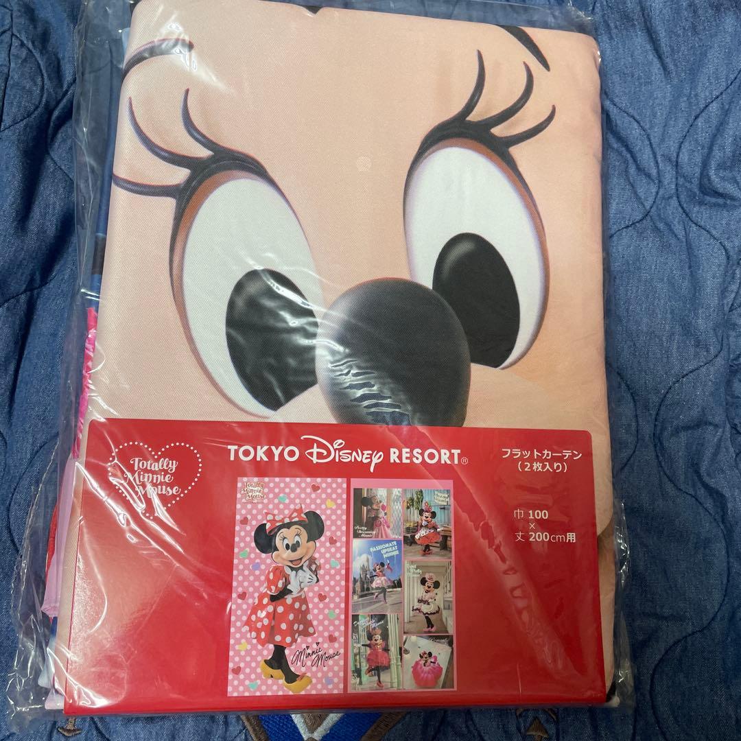 トータリーミニー　カーテン　パルパルーザ　ミニパル　ミニー　ミニパル　ディズニー