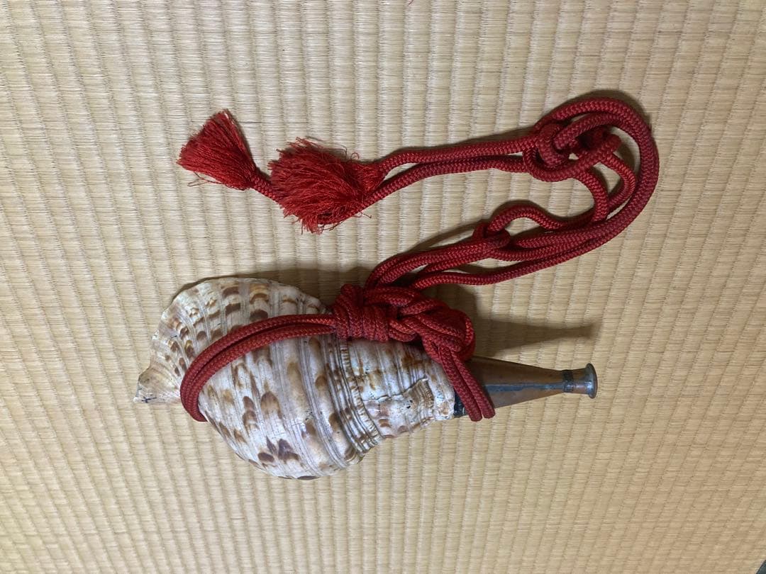 法螺貝33センチ紐付き