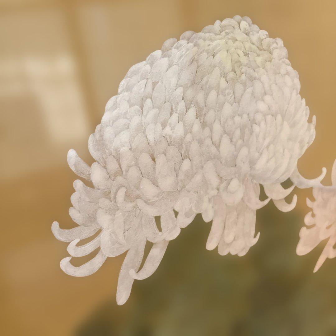 絵画　菊と蝶　　⚠️素人画