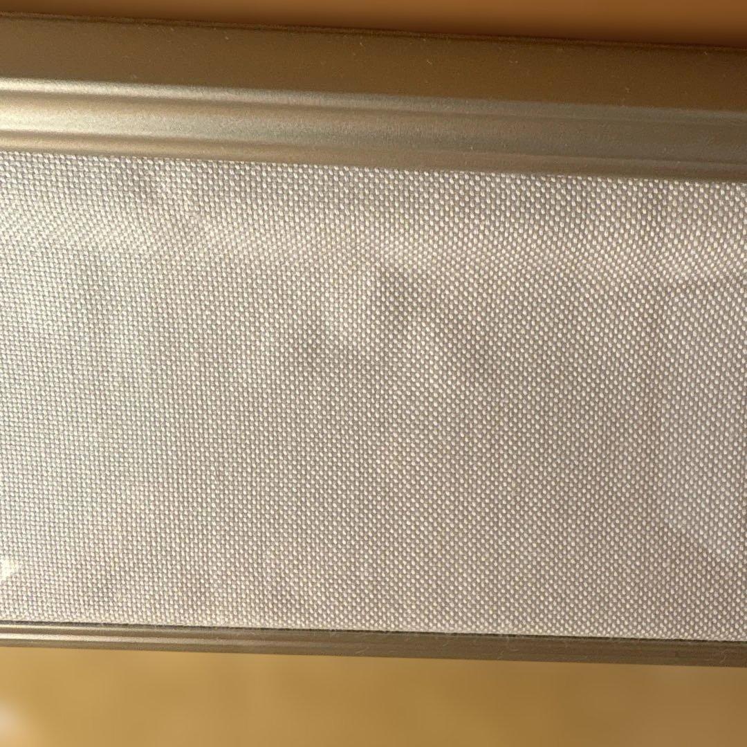 絵画　菊と蝶　　⚠️素人画