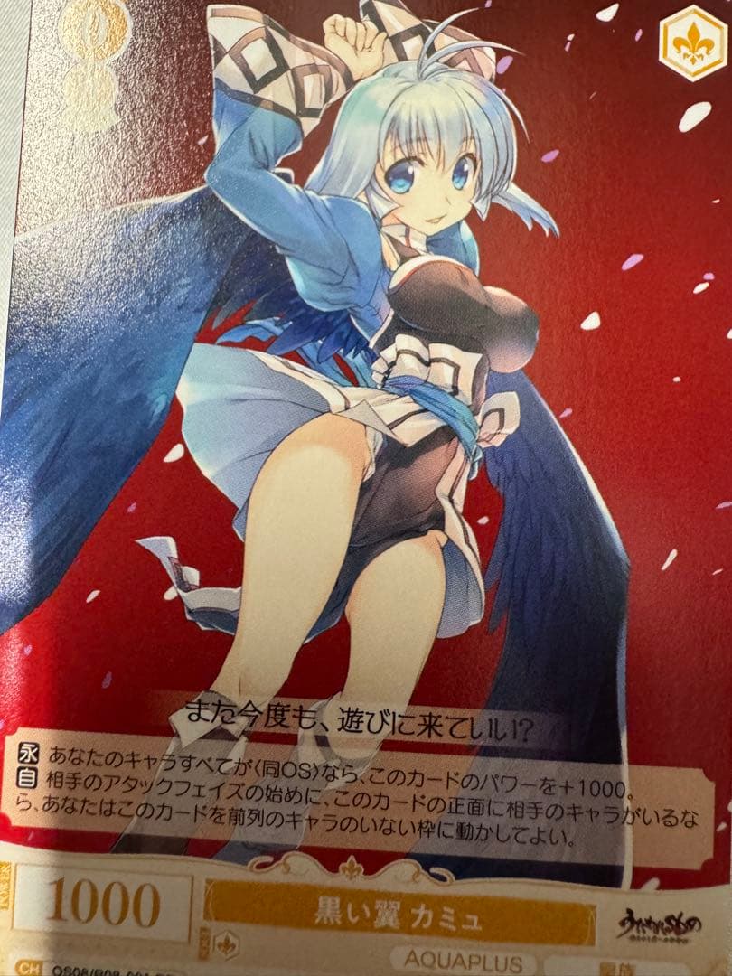 ヴァイスロゼ AQUAPLUS RR以下 4コン