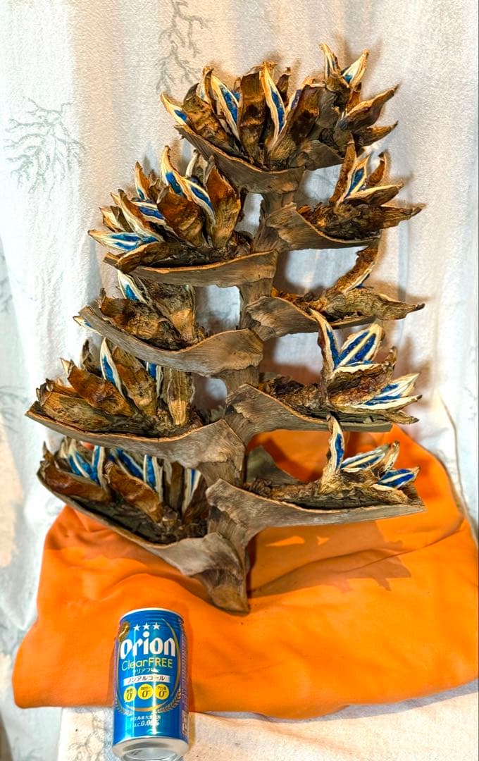 106 旅人の木 期間限定割引 今季宮古島産11房