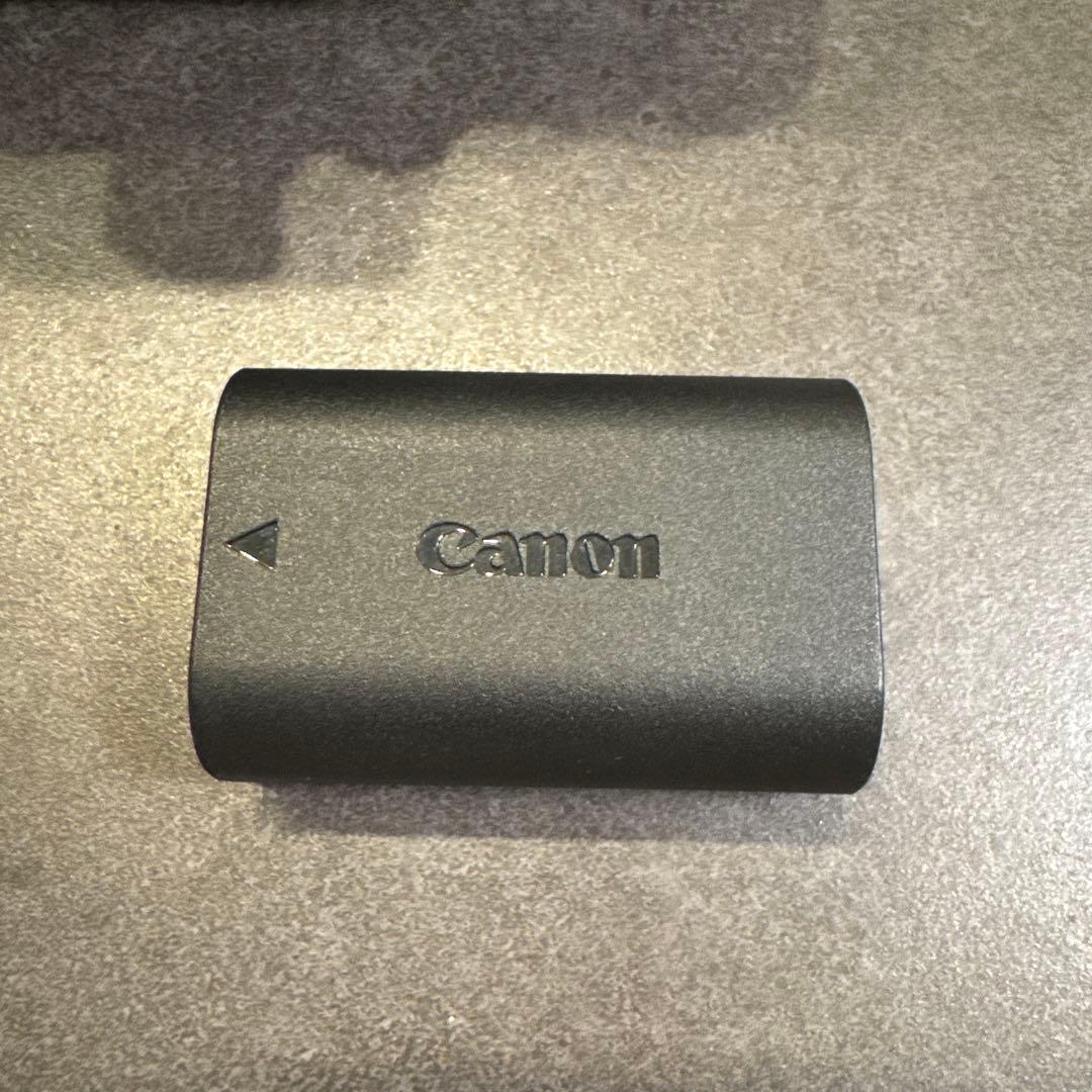 Canon EOS 80D 本体と付属品