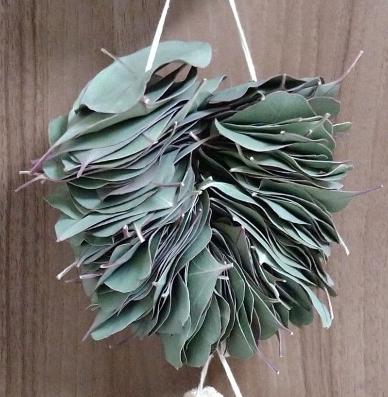 ユーカリのリースガーランド