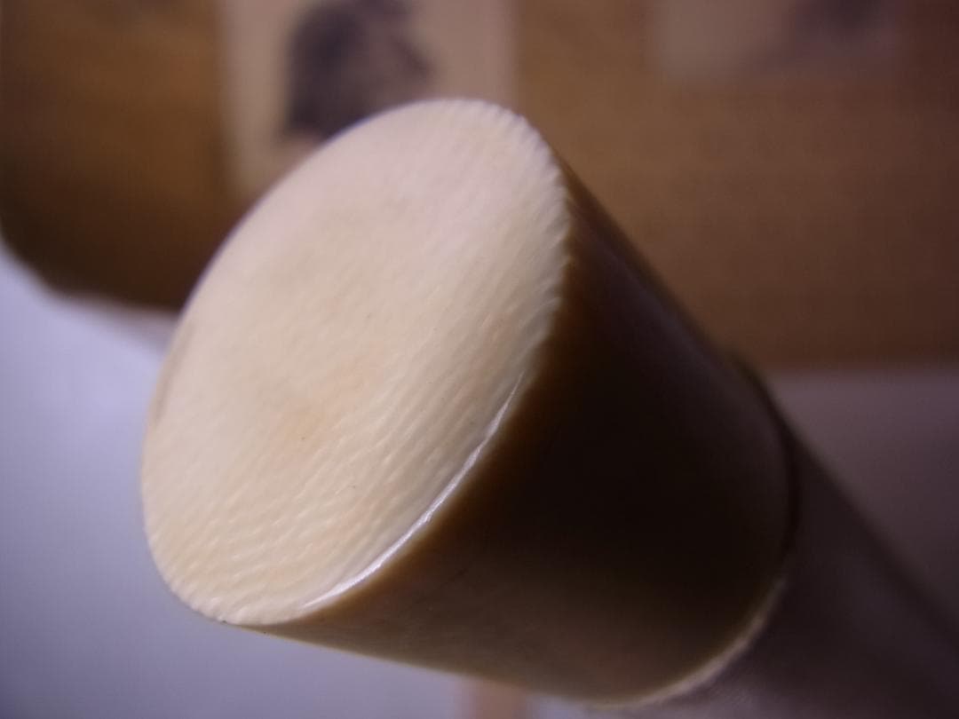 『森一鳳真蹟墨画龍虎小品張合』掛軸　箱付