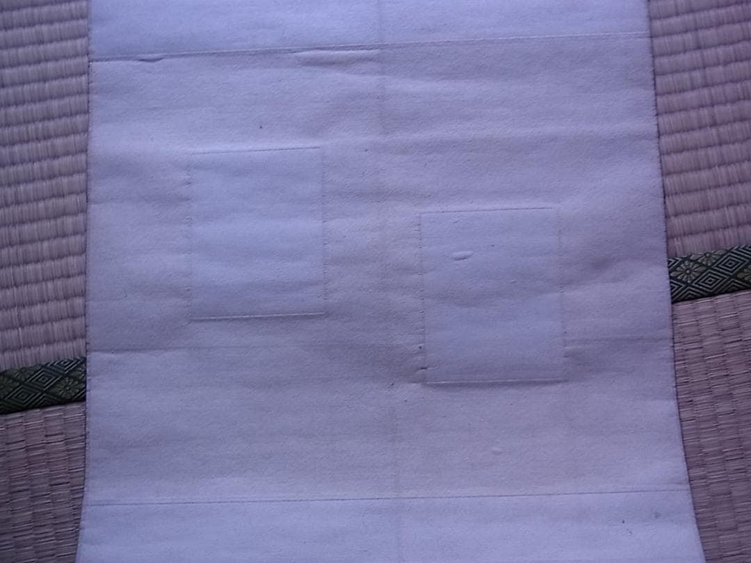 『森一鳳真蹟墨画龍虎小品張合』掛軸　箱付