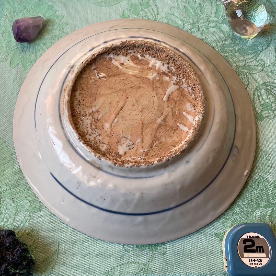 呉須染付　花鳥文様　古染付　中皿