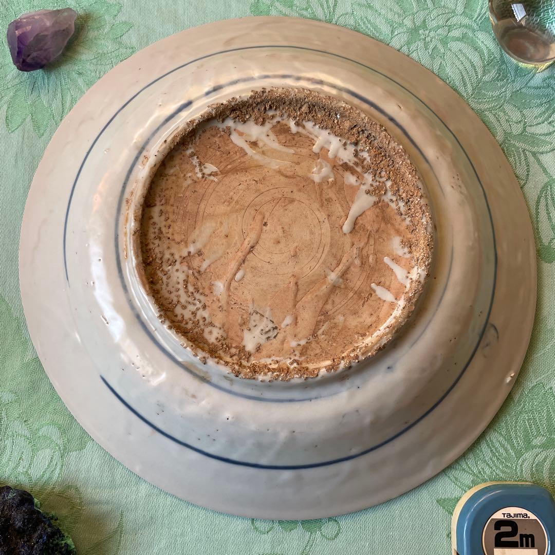 呉須染付　花鳥文様　古染付　中皿