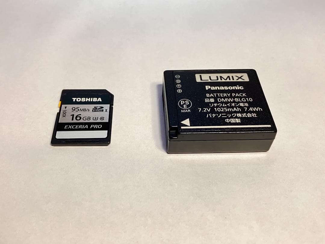 Panasonic LUMIX DC-TZ90　専用ケース付き　おまけ有り