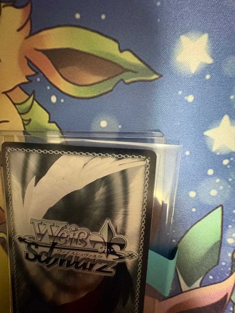 ヴァイスシュヴァル　猪突猛進　ハルヒ　SP サイン