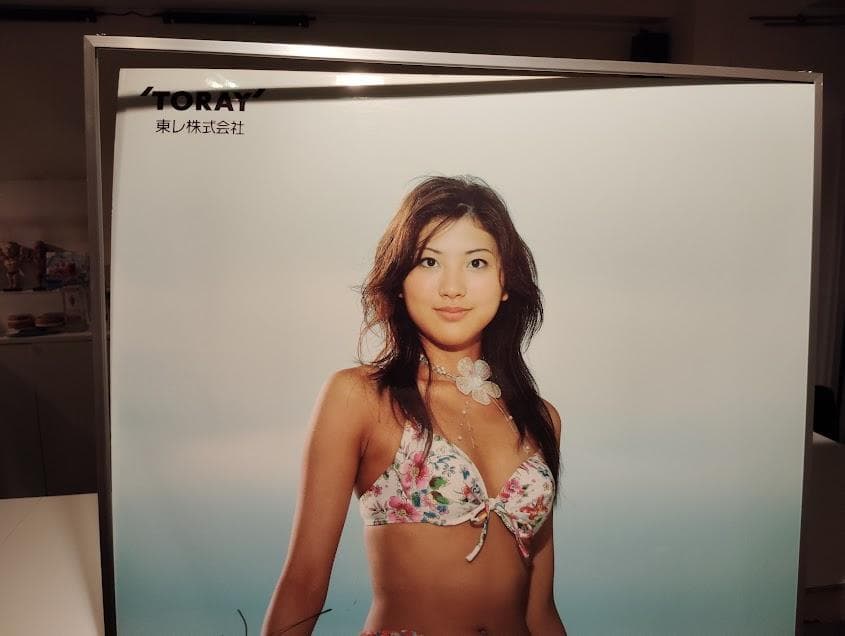非売品★宣伝用 東レ水着 キャンペーンガール 直筆サイン入り 山岸舞彩 ポスター