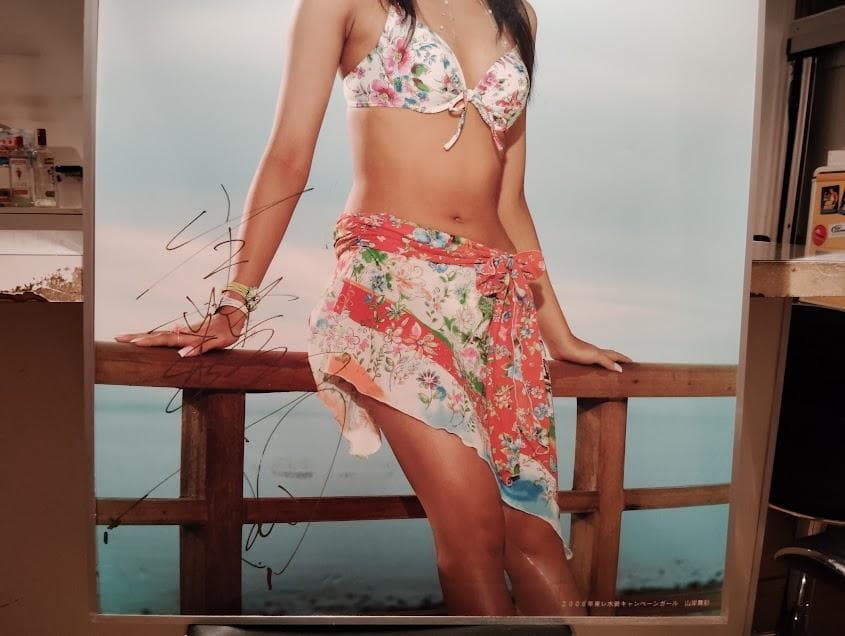 非売品★宣伝用 東レ水着 キャンペーンガール 直筆サイン入り 山岸舞彩 ポスター