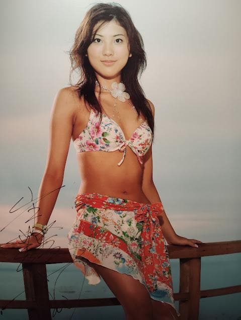 非売品★宣伝用 東レ水着 キャンペーンガール 直筆サイン入り 山岸舞彩 ポスター