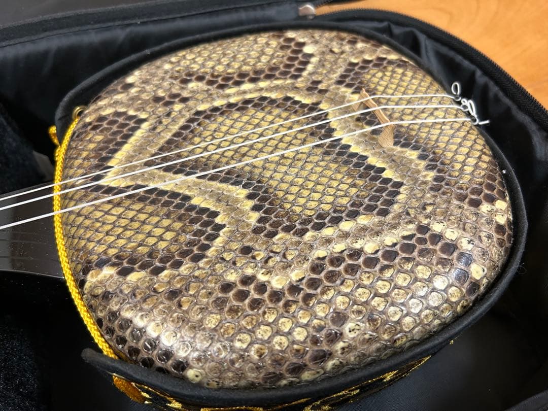 三線本体 ヘビ革　初心者セット