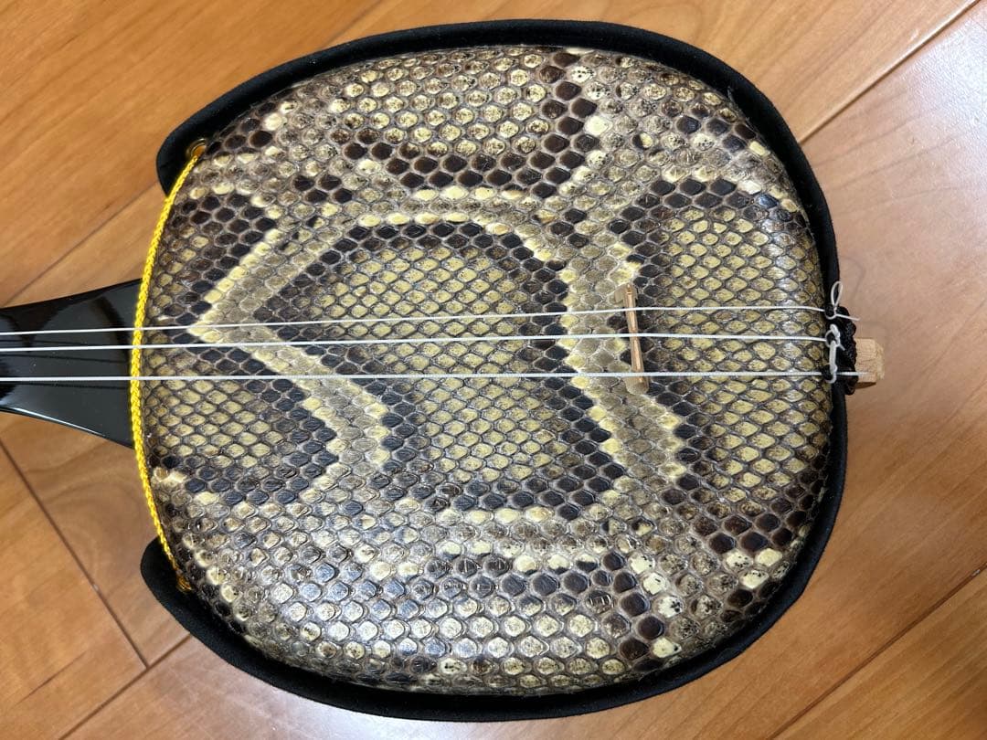 三線本体 ヘビ革　初心者セット