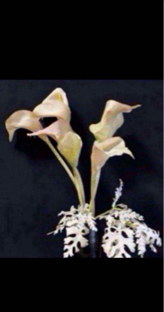 花　アートフラワーブーケ　アートフラワー　造花　カラー　シルバーシネラリア