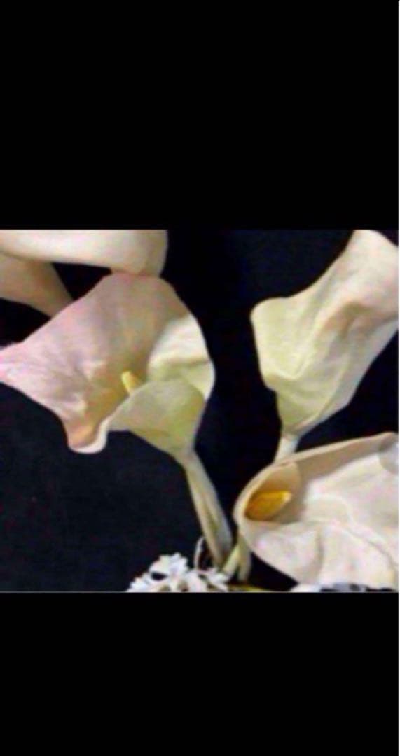 花　アートフラワーブーケ　アートフラワー　造花　カラー　シルバーシネラリア