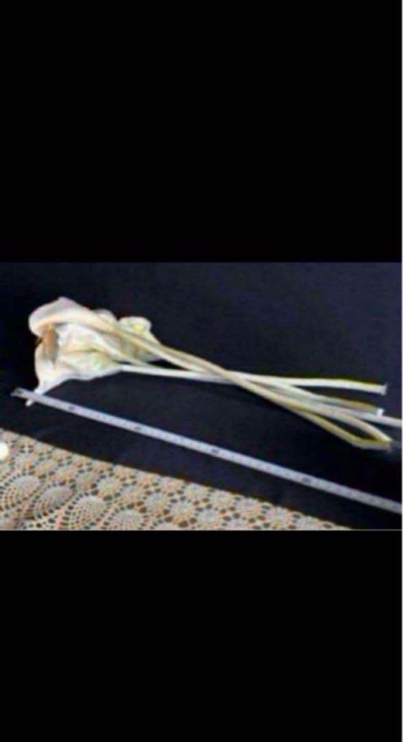 花　アートフラワーブーケ　アートフラワー　造花　カラー　シルバーシネラリア