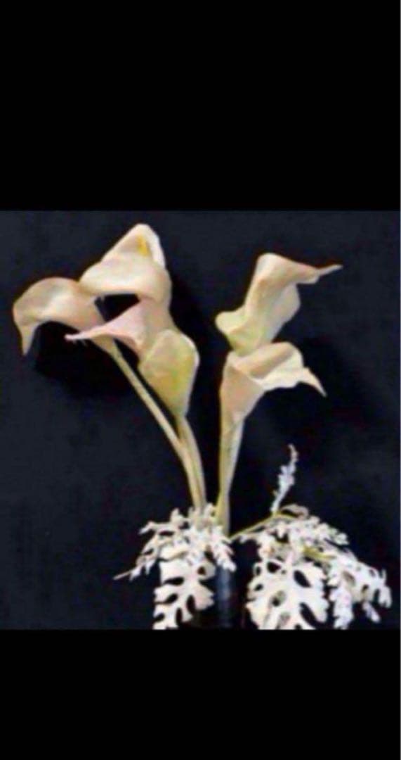 花　アートフラワーブーケ　アートフラワー　造花　カラー　シルバーシネラリア