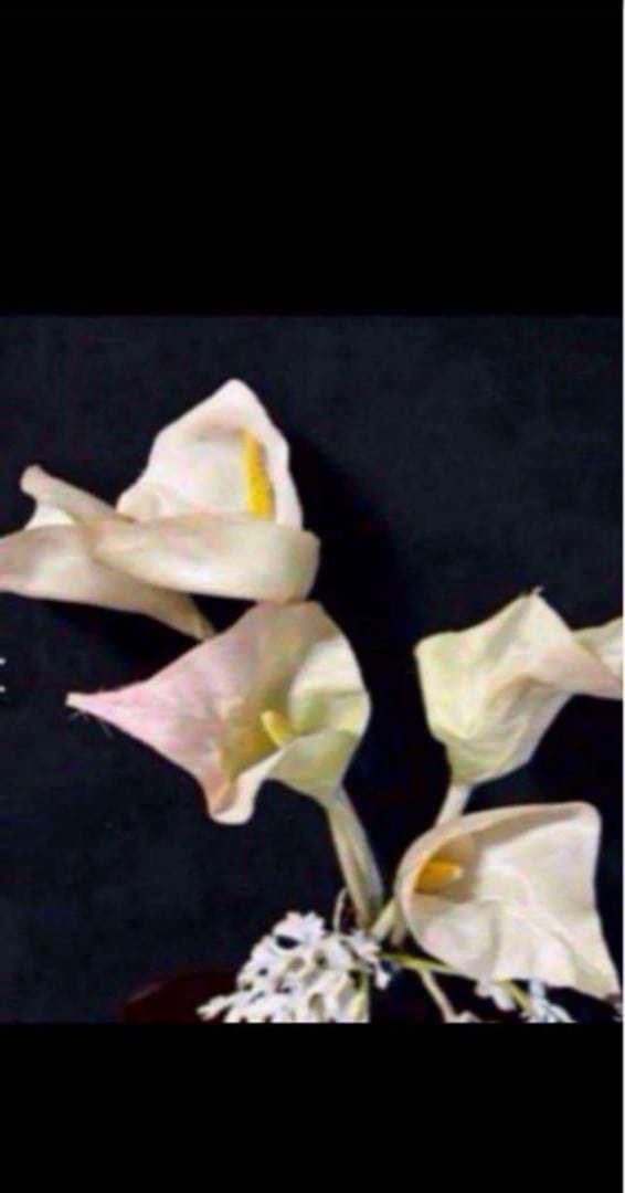 花　アートフラワーブーケ　アートフラワー　造花　カラー　シルバーシネラリア