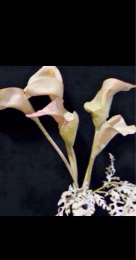 花　アートフラワーブーケ　アートフラワー　造花　カラー　シルバーシネラリア