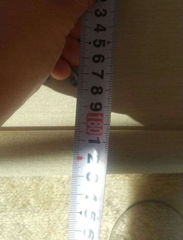 掛け軸　古美術　中国作家物　共箱