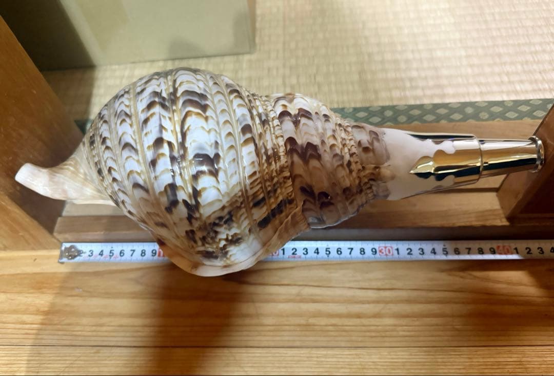 特大修験道法螺貝40㎝　山伏　密教　魔除け　熊よけ❣️ホラガイ　ほら貝