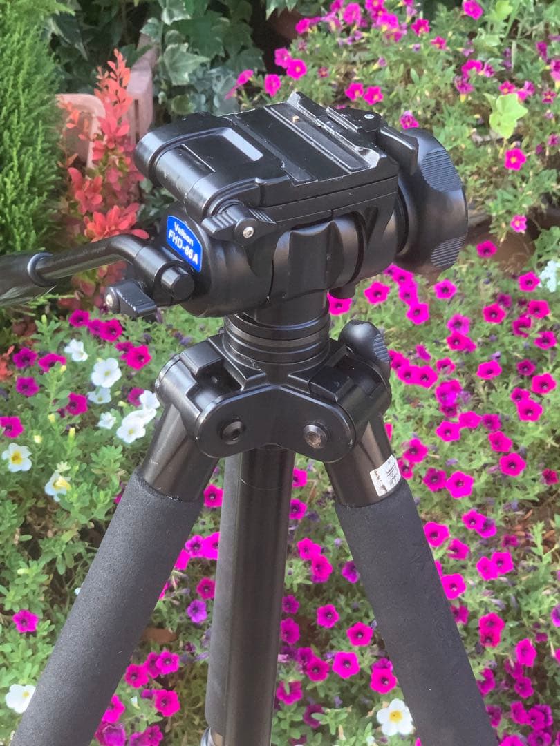 Velbon カーボン三脚 BIRDERS PRO 638・雲台:FHD-66A