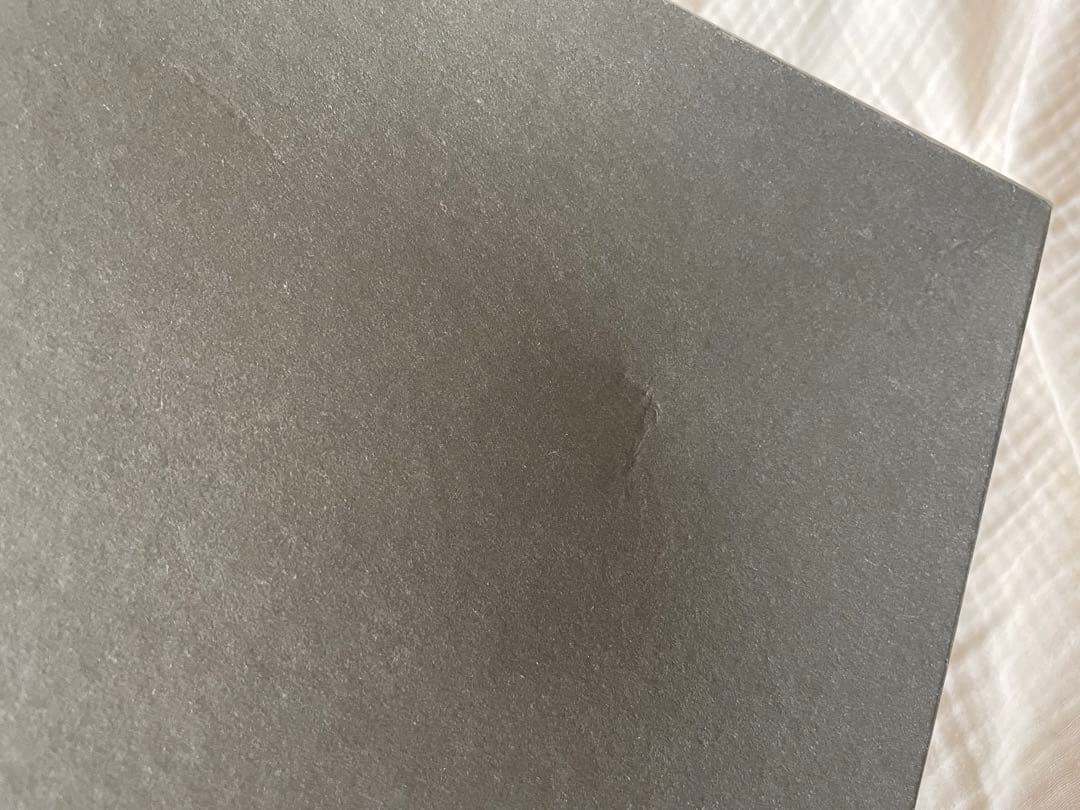 専用✳︎ウェッジウッド ベルローズ プレート20.5センチ2枚セット