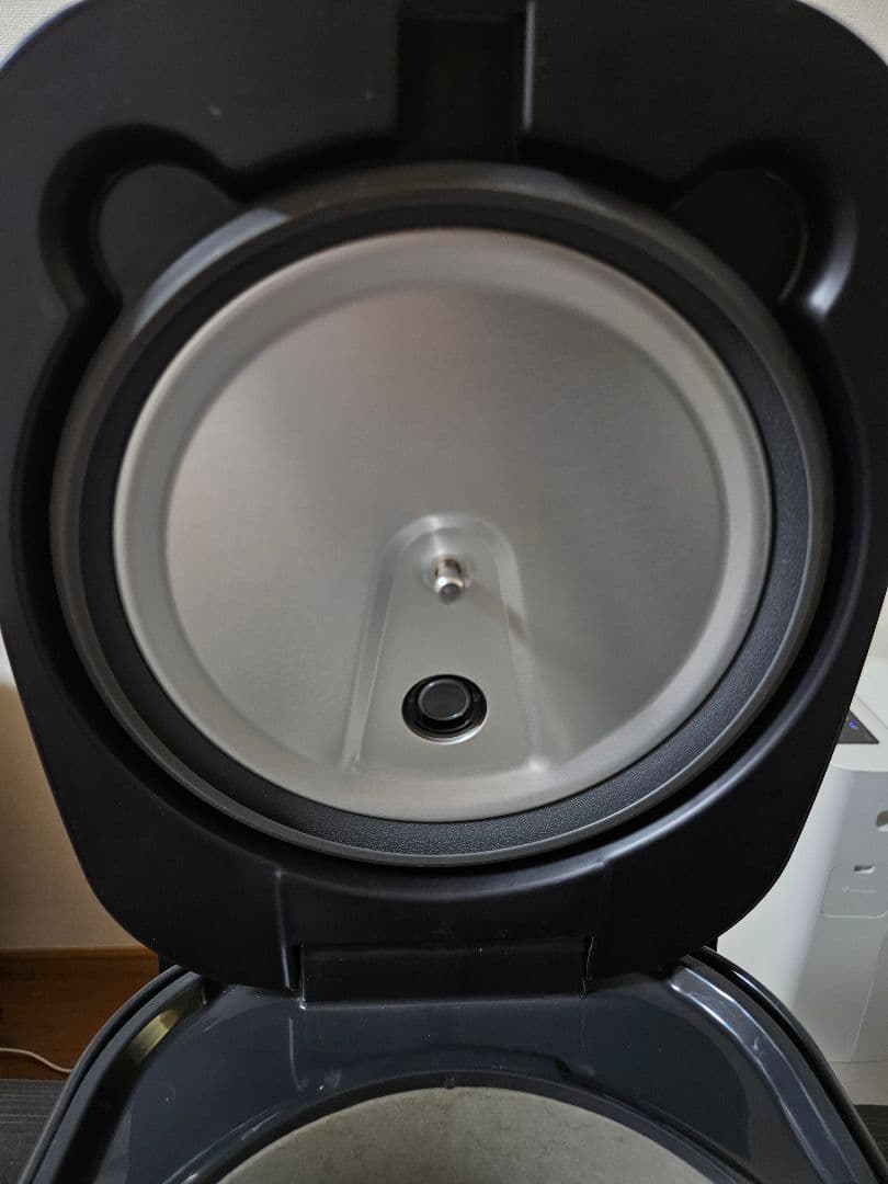 IRIS OHYAMA アイリスオーヤマ 炊飯器 極厚火釜 5.5合炊き