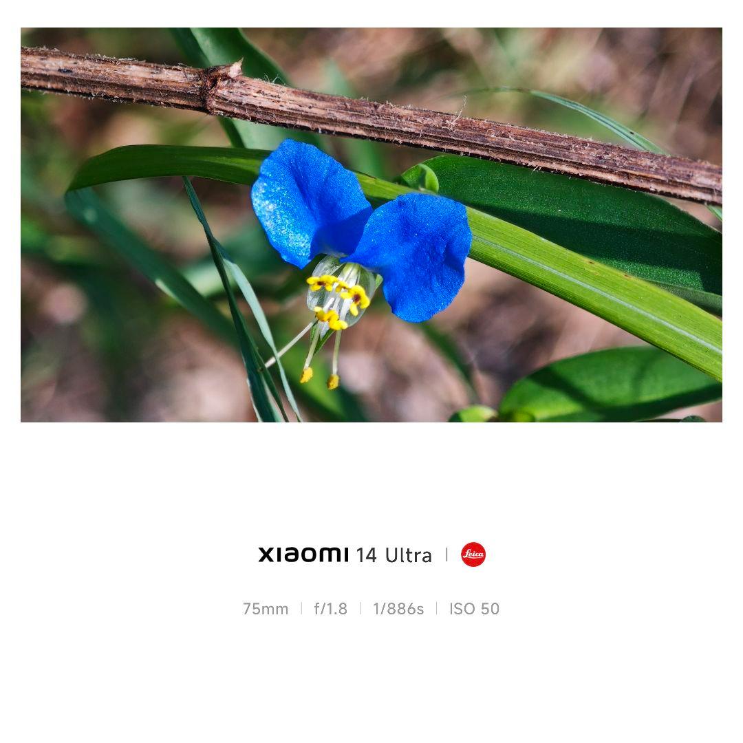 Xiaomi 14 Ultra 訳あり