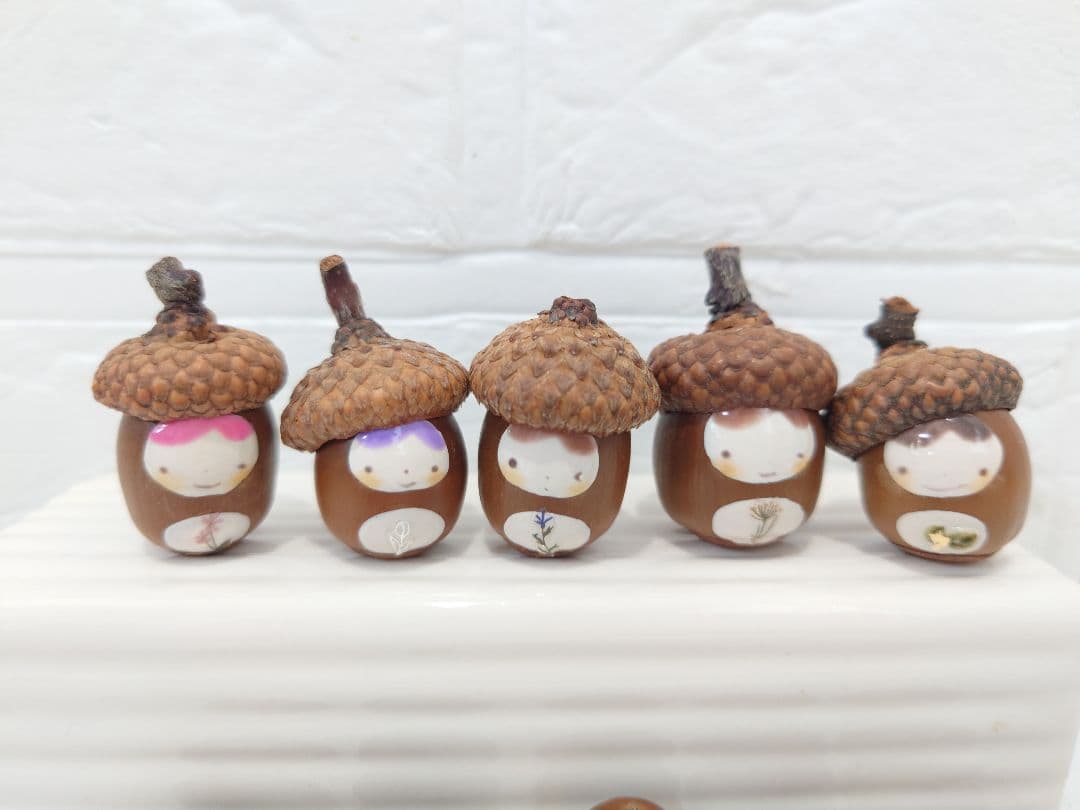 蘭！！！！！ ✮どんぐりアート✮~パーツ10個セット~