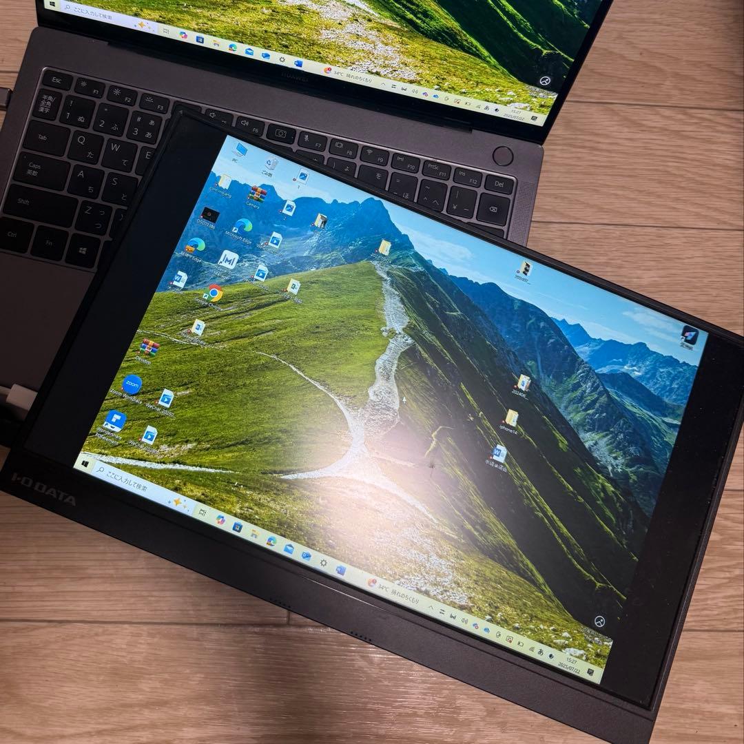 I-O DATA アイ・オー・データ EX-LDC161DBM