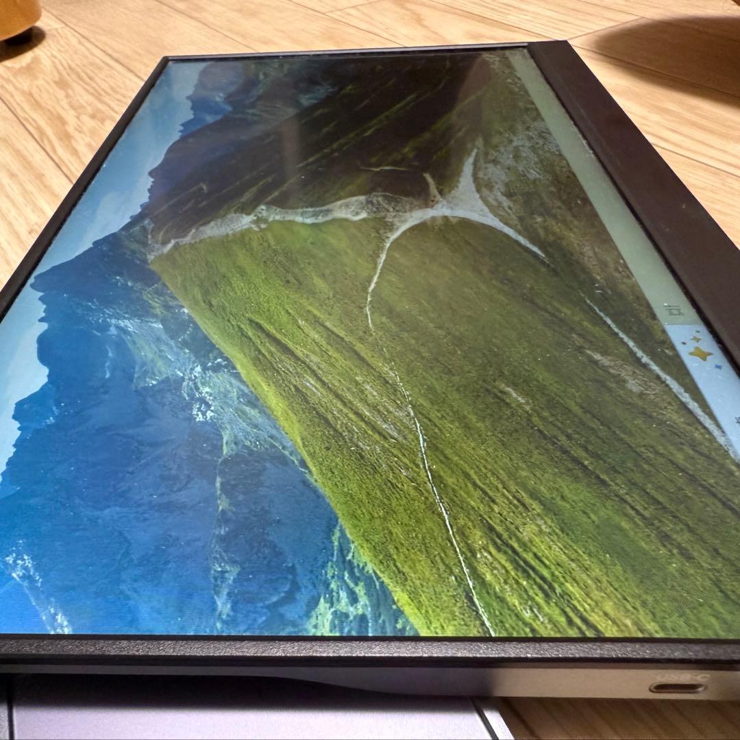 I-O DATA アイ・オー・データ EX-LDC161DBM