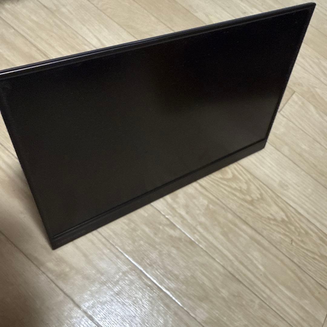 I-O DATA アイ・オー・データ EX-LDC161DBM