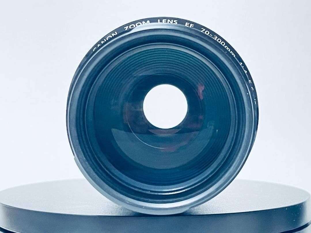 ✨美品✨Canon キヤノン EF 70-300mm F4-5.6 IS USM